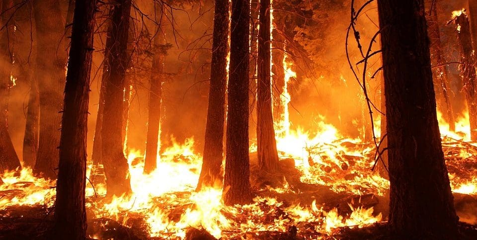 firefighting