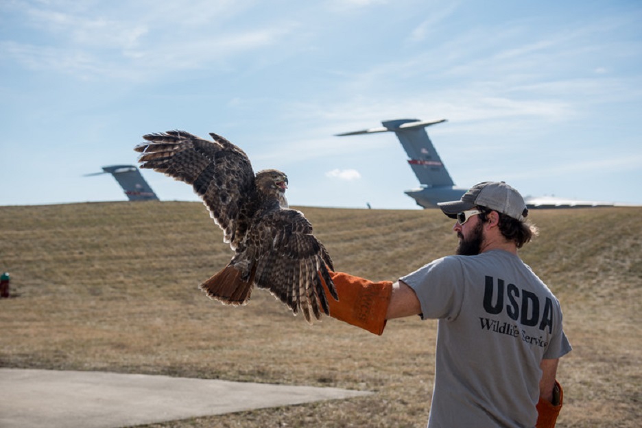 photo U.S.-Air-National-Guar