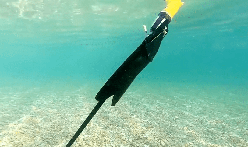 Drone Swim and Glide