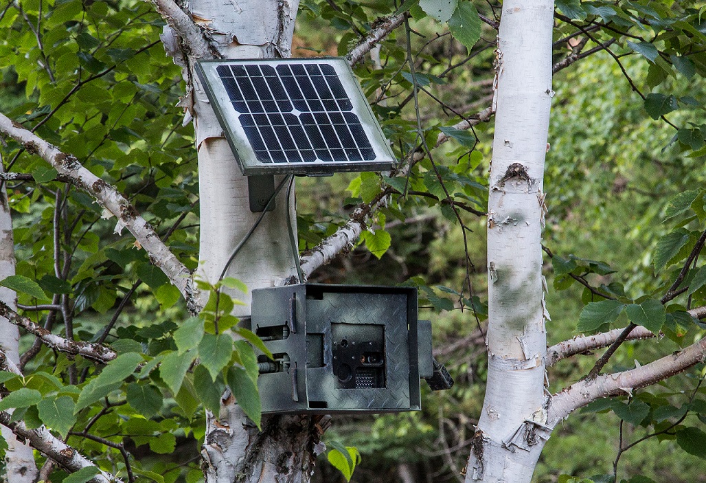 Border Patrol Surveillance Camera