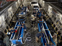 Transporting Dolphins by US Air Force