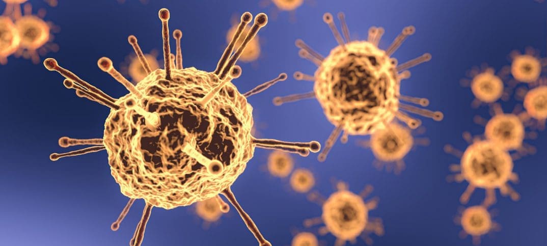 coronavirus