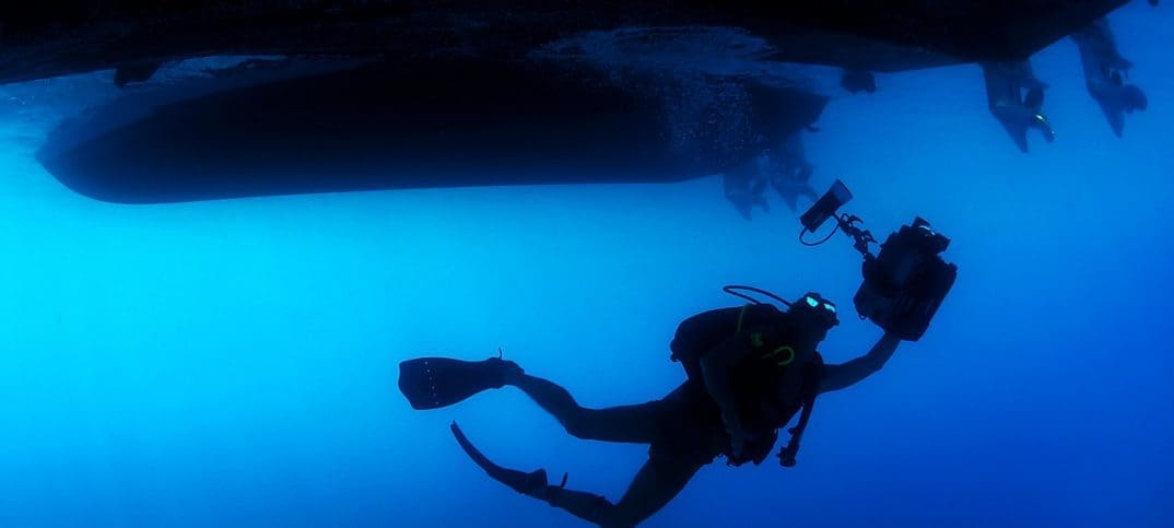 Underwater combat. image by pixabay