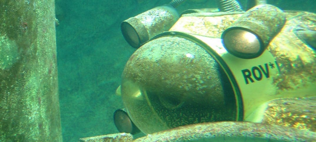 Underwater dive. image by pixabay