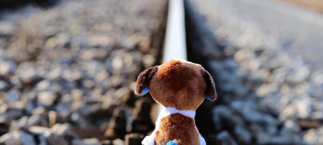 Stop Suicide. image by pixabay