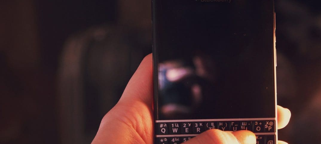 blackberry. image provided by pixabay