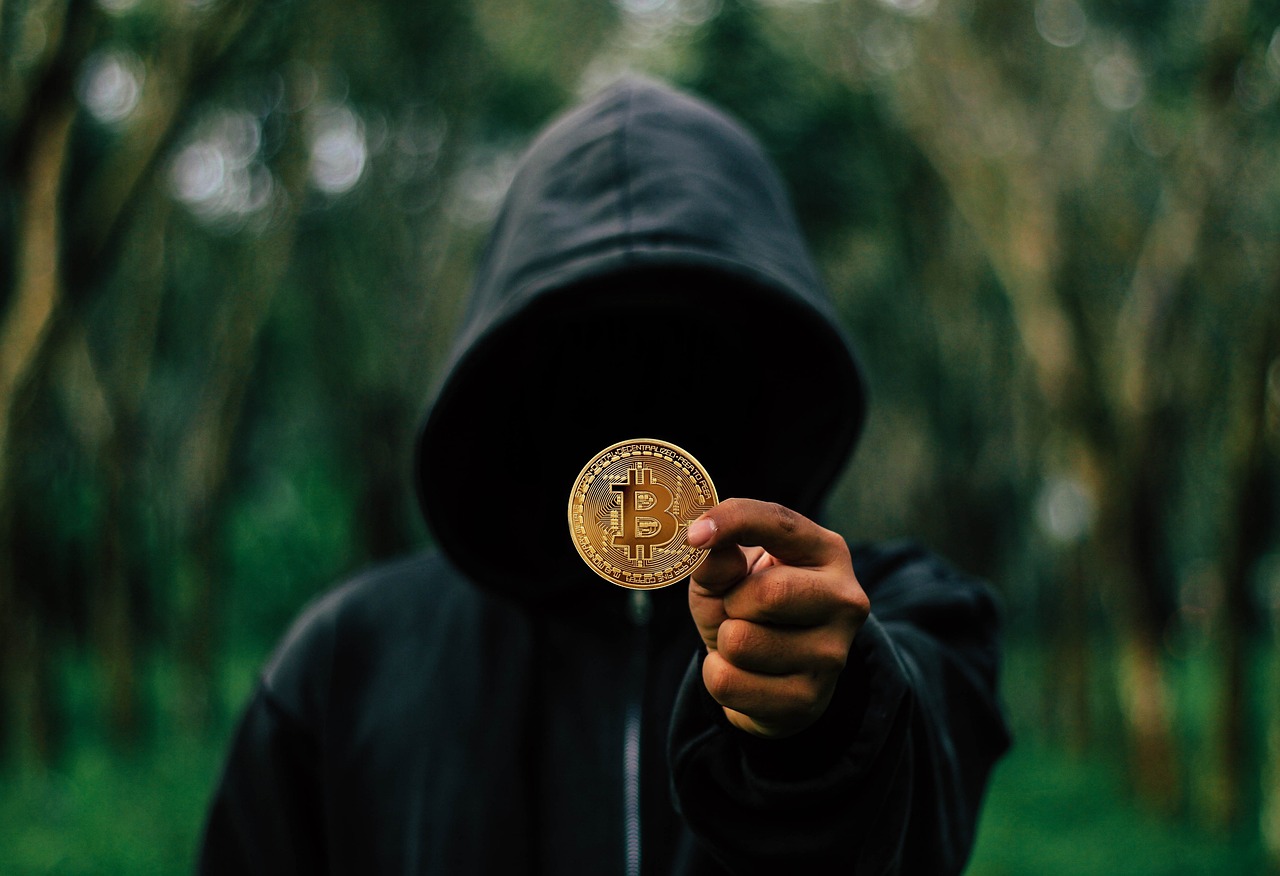 FBI Seizes $112m From Crypto Swindlers Image provided by pixabay