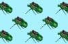 Rescue Missions to Benefit from Computer-Mounted Cyborg Roach Swarms image provided by pixabay