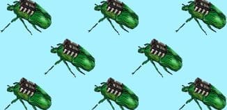 Rescue Missions to Benefit from Computer-Mounted Cyborg Roach Swarms image provided by pixabay