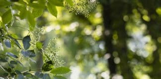 Tiny Drone Gets AI Eyes to Navigate Autonomously Guido de Croon / TU Delft|MAV Lab https://www.eurekalert.org/multimedia/1034511