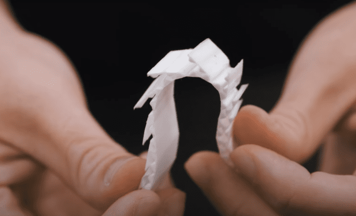 Image taken from video https://www.youtube.com/watch?v=z2sWWRY9oF0