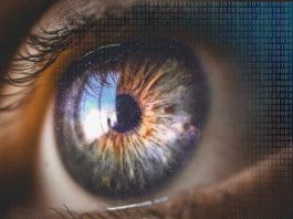 The Galaxy in Your Eyes: How Astronomy Can Help with Catching Deepfakes Images provided by Pixabay