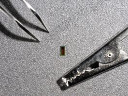 “Mind Reading” Chip Can Help Paralyzed Patients Miniaturized Brain-Machine Interface (MiBMI) - 2024 EPFL / Lundi13 - CC-BY-SA 4.0