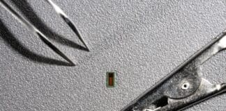 “Mind Reading” Chip Can Help Paralyzed Patients Miniaturized Brain-Machine Interface (MiBMI) - 2024 EPFL / Lundi13 - CC-BY-SA 4.0