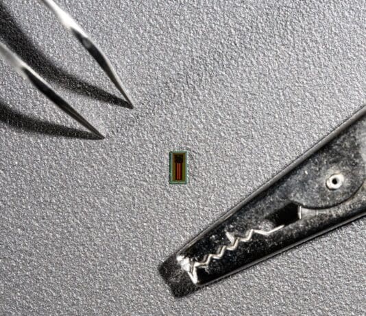 “Mind Reading” Chip Can Help Paralyzed Patients Miniaturized Brain-Machine Interface (MiBMI) - 2024 EPFL / Lundi13 - CC-BY-SA 4.0