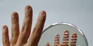 תאום דיגיטלי – החברה שיצרה עוזרי AI שנראים כמו אנשים אמיתיים Images provided by Pixabay