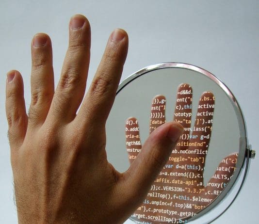 Digital Twin AI Assistants Now on the Market Images provided by Pixabay