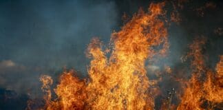 Black Hawk Helicopter Demonstrates Precision Autonomous Wildfire Response Image provided by Pixabay