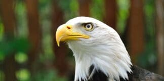 רדאר עם יכולות AI מצלם תמונות ברזולוציה גבוהה במזג אוויר קיצוני Image provided by Unsplash