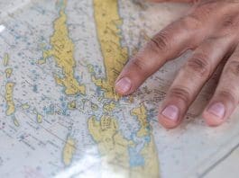 הזרקת נתונים פיקטיבית יכולה להגן מפני הפרת זכויות יוצרים באימון מודלי שפה Image provided by Pixabay