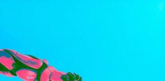 מיקרוסופט פיתחה שפה חדשה לתקשורת מהירה יותר בין מודלי שפה Image by Unsplash