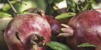 iHLS מאחלת לכם שנה טובה!