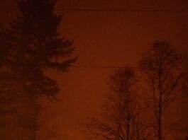 Fire Spewing “Dragon Drone” Introduced in Ukraine Image provided by Unsplash