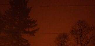 "כטב"ם הדרקון" שיורה אש הוצג באוקראינה Image provided by Unsplash