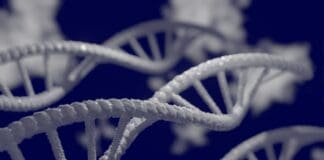 העתיד של דאטא: טכנולוגיית דנ"א ממזגת אחסון עם מחשוב Image provided by Pixabay