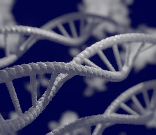 The Future of Data: How DNA Technology Merges Storage with Computing Image provided by Pixabay