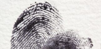 New Nanomaterial Revolutionizes Forensics Image by Pixabay