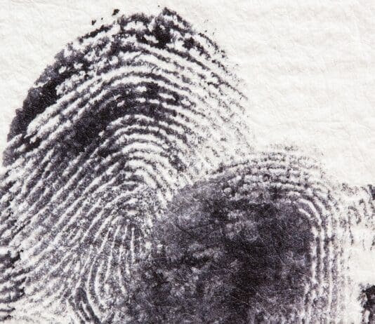 New Nanomaterial Revolutionizes Forensics Image by Pixabay