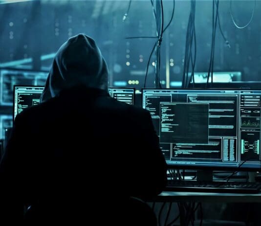 Pro-Russian Hacktivist Group Targets Ukrainian Government Sites Ahead of Trump-Zelensky Talks Image by Pixabay
