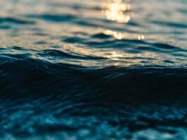 This Device Generates Infinite Electricity from Seawater Image by Pixabay