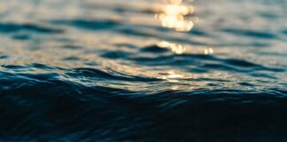 This Device Generates Infinite Electricity from Seawater Image by Pixabay