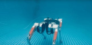 רובוט כלב שעובד מתחת למים מסייע במשימות הצלה Image from Mab Robotics Youtube video