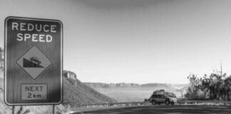 Vulnerabilities Found in Grayscale AI Image Recognition Image by Pixabay