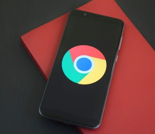 Octo2: The malware that masquerades as Google Chrome Image by Pixabay
