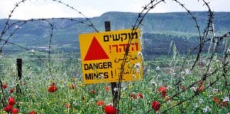 AI-Powered System Enhances Explosives Detection Image by Pixabay