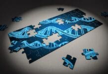 DNA Cassette System Offers New Approach to High-Density Data Storage Image by Pixabay