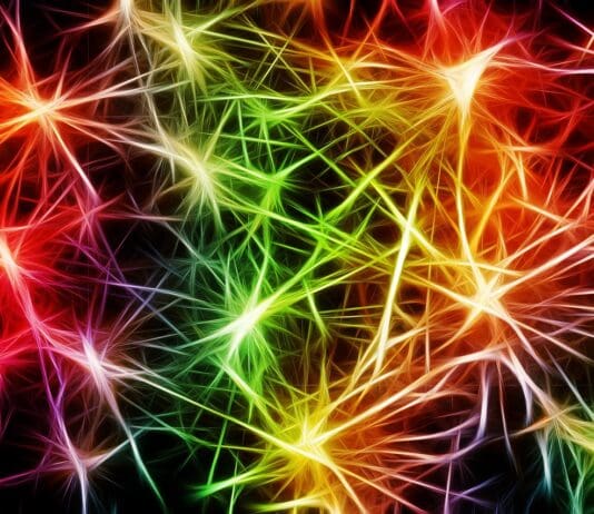 New Study Unlocks Potential of Spiking Neural Networks for Low-Power AI Image by Pixabay
