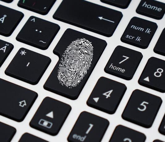 Researchers Unveil How CSS Can Expose User Data Image by Pixabay