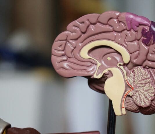Mind Reading Becomes a Reality with Breakthrough Brain-Computer Interface Technology Image by Unsplash