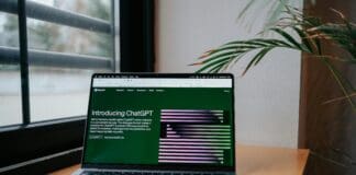 OpenAI חושפת תכונה חדשה של 'מחקר עמוק' Image by Pexels