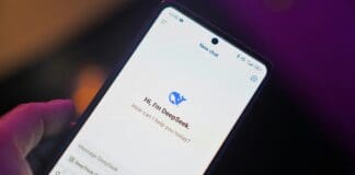 מדינת ניו יורק אוסרת על ההורדה של אפליקציית דיפסיק לאור חששות אבטחה Image by Pexels