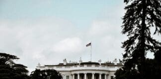 DOD Denies Claims of Halt of CyberOps Against Russia Image by Unsplash