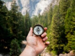 Image by Unsplash