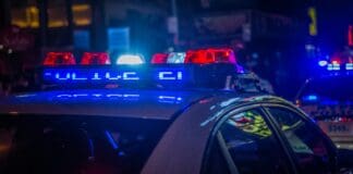 כך מעצימה הבינה המלאכותית את הפשע המאורגן Image by Unsplash