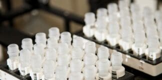 האם המידע הגנטי שלכם בסכנה? 23andMe פושטת רגל Image by Unsplash