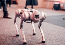 Why Future Ground Robots Won’t Need Pre-Programmed Gaits Image by Pexels